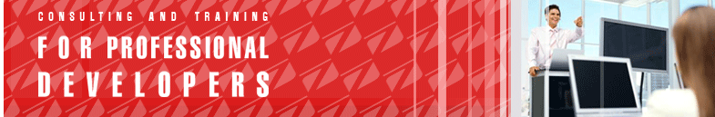 Consulting and training for professional developers